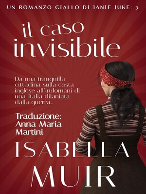 cover image of Il Caso Invisibile